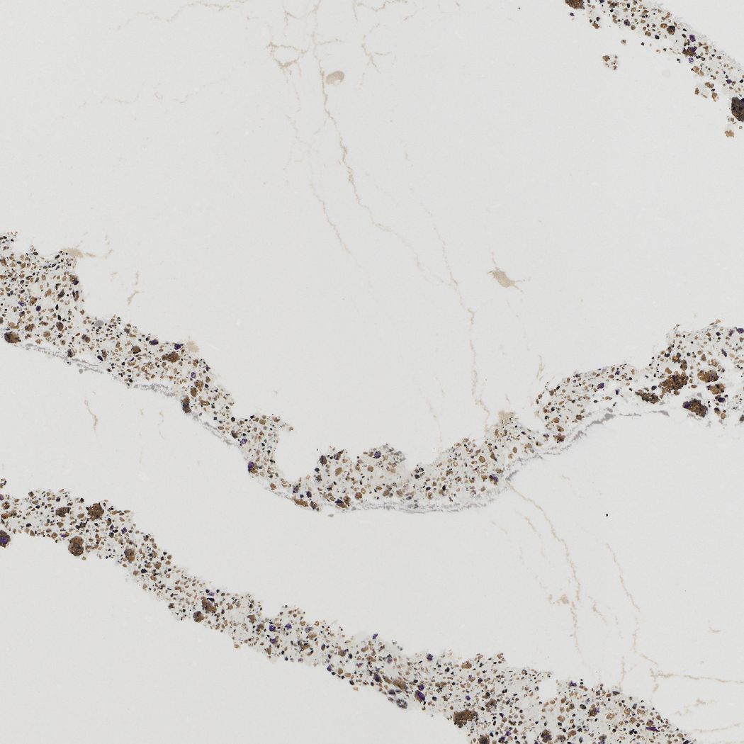 Annicca Cambria Quartz
